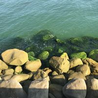 mahsa ravan的照片