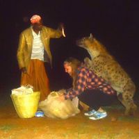 Natalie Cooke的照片