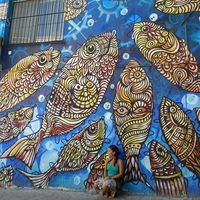 Photos de A Otra Cosa Mariposa Gerardi