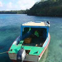 Giulia Colombo的照片