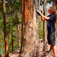 David Freudenthaler的照片