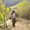 Rashid Ali's Photo