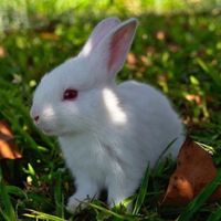 Gabriella  Terri的照片