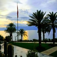 Selim selim的照片