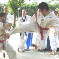 Photos de Chrystel Elle