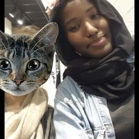 Colette Wang的照片