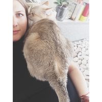 Aina Panasiuk's Photo