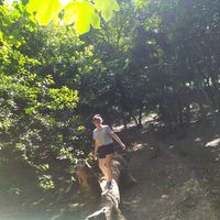 ZILAN TOPTAS's Photo