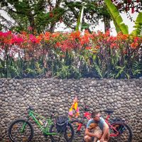 Mathew Hardingham's Photo