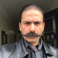 Rouzbeh Rashidi的照片