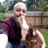 Joseph Morgan's Photo