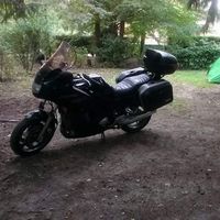 William Daniau的照片