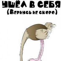 אביאל הרצוג的照片