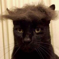 Photos de Celine Darko