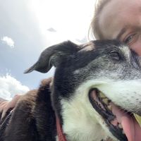 Sarah Green的照片