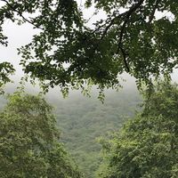 Gracias Vidas's Photo