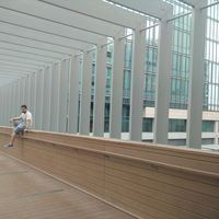 ahmed mohamed's Photo