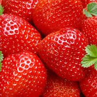 Bilal BAHADIR's Photo