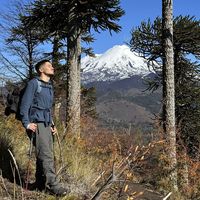 Alvaro Francisco's Photo