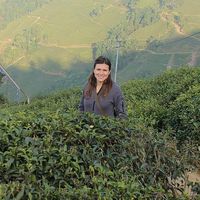 Michelle Menclewicz's Photo