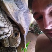 Fotos de Carlos Perello