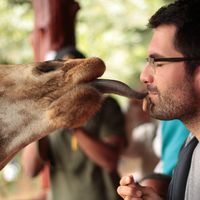 Fernando Mas的照片