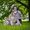 Anna Dewinska's Photo