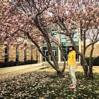 Javishk Shah的照片