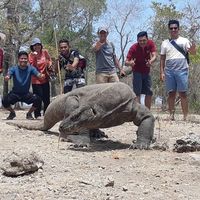 Oscar wiliam's Photo