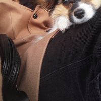 Photos de Ivan Loparić