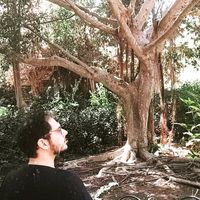 Alon Gelbvaks's Photo