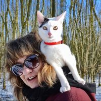 Фотографии пользователя Suzanne  Van den Akker