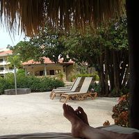 TerryandCathy Luffy's Photo