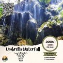 Umbrella Waterfall Trip - One Day's picture