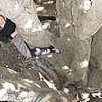 Photos de Lexi Harper