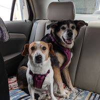 Diana Mueller's Photo