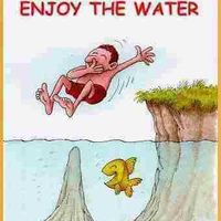 khaled Waheed的照片