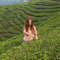 Vika Borisova的照片