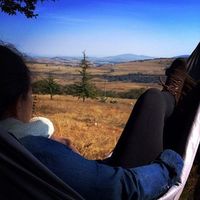 Helen Connolly的照片