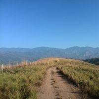 Andres Navarro的照片