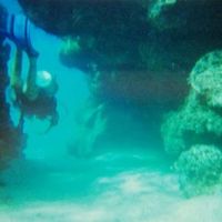 Luis Pámanes的照片