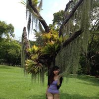 Fotos de Hien Nguyen