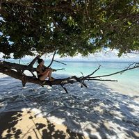 Christine Kim's Photo