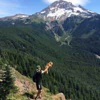 Fotos de Dylan Dougherty