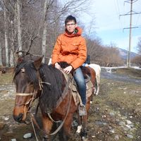 Fotos de Wai Hoe Wong