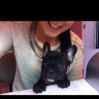 Tânia Santos的照片