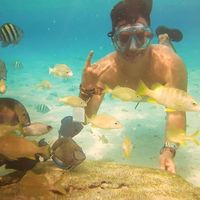 Andres S. Latorre的照片