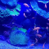 Maikel Sitbon's Photo