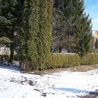 Alina Peleck's Photo