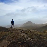 Fotos de Mark Martin